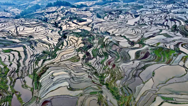 工业热电偶与热电阻选型对比：适用场景与精度差异分析