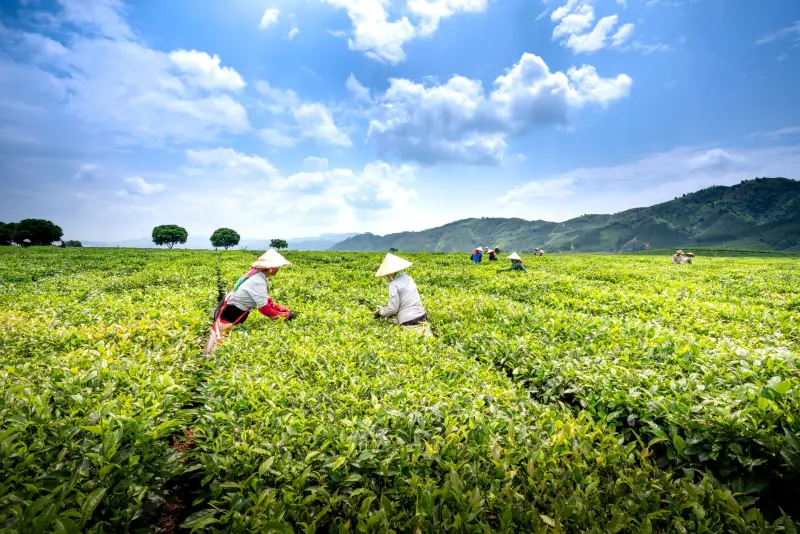 工业热电偶与热电阻选型对比：温度测量精度与场景适配分析