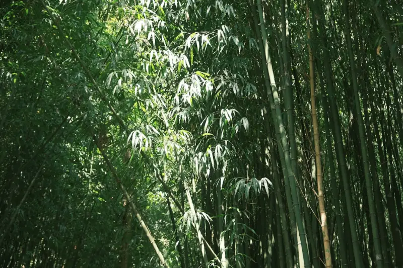 上海及华东工厂压力表检定周期与现场校准技术要点