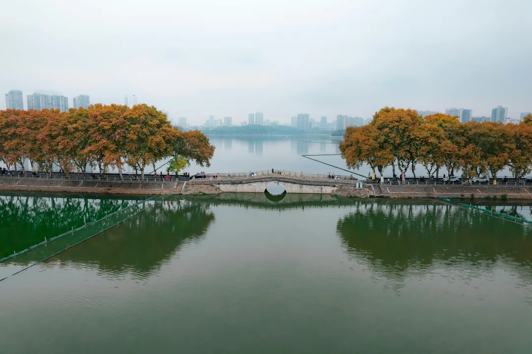 2025年工业仪表市场趋势：智能压力表与温度传感技术升级